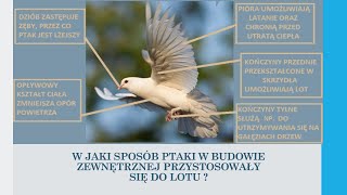 Ptaki  kręgowce zdolne do lotu biologia szkoła podstawowa [upl. by Aneleve]