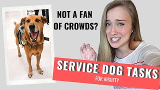 ANXIETY Service Dog Tasks  CROWD CONTROL [upl. by Niahs]