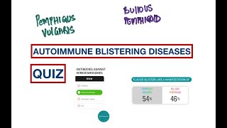 Blisters Pemphigus Vulgaris vs Bullous Pemphigoid  USMLE  MCQs [upl. by Nawj]