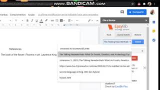 Referencias en norma APA complemento para google drive Easybib [upl. by Zsazsa]