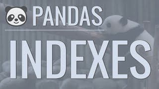 Python Pandas Tutorial Part 3 Indexes  How to Set Reset and Use Indexes [upl. by Eiznikcm]