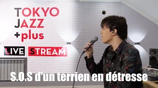 Dimash  SOS Dun Terrien En Détresse  Tokyo Jazz Festival 2020 [upl. by Mountfort412]