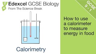 7 Edexcel GCSE Biology  Calorimetry [upl. by Berenice]