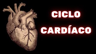 Ciclo cardíaco e valvas cardíacas – Fisiologia Humana [upl. by Ahsoj669]