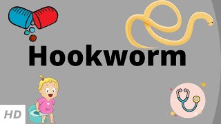 Hookworm Causes Signs and Symptoms Diagnosis and Treatment [upl. by Greenburg]