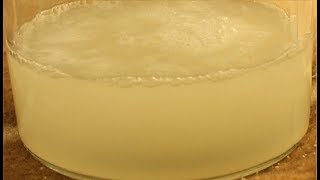 Starting a Liquid Yeast Culture [upl. by Moyna]