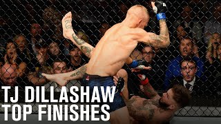 Top Finishes TJ Dillashaw [upl. by Nelehyram611]