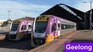 VLine Trains at Geelong Station during Peak Hour  Victorian Transport [upl. by Ahtar525]