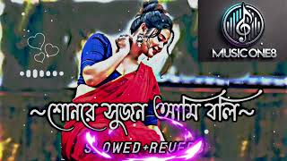 son re sujon ami boli je tore  শোনরে সুজন আমি বলি যে তোরে  SlowedReverb Bangla Lofi Song [upl. by Weissberg244]