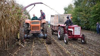 Ensilage 2017 avec des tracteurs dépoques SomecaFiatInternationalMCCormick IH New Holland [upl. by Ryun599]