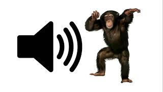 Monkey  Sound Effect [upl. by Buff248]