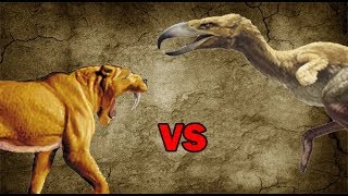 SaberToothed Tiger vs Terror Bird  SPORE [upl. by Dorwin]