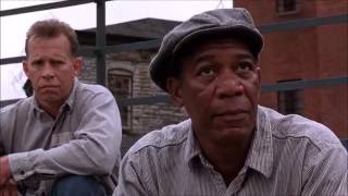 Best Quotes from The Shawshank Redemption [upl. by Euqor]