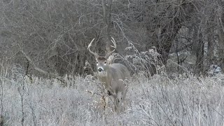 Crossbow Country  Deer amp Deer Hunting TV [upl. by Aylmar943]