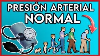 PRESION ARTERIAL NORMAL por EDADES  ¿Cuál es la PRESIÓN ARTERIAL en cada EDAD [upl. by Oriaj560]