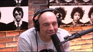 Joe Rogan amp Steve Rinella on Guyana and Jonestown [upl. by Nav]