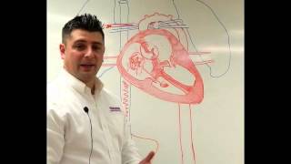 Neonatal Circulation Part 13 Preductal Sp02 [upl. by Attirehs325]