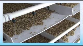 FarmTeks Fodder Tips  FodderPro 30 Commercial Feed System [upl. by Oiluj860]