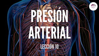 10 PRESIÓN ARTERIAL ESTRUCTURA Y FUNCIÓN DEL SISTEMA CARDIOVASCULAR [upl. by Adelind]