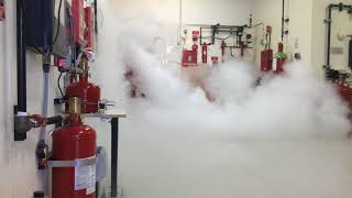 CO2 Fire Suppression System Discharge at Koorsen Training Center [upl. by Airret]