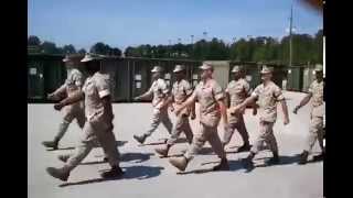 USMC US Marine Corps Marching Cadence [upl. by Dorothee]