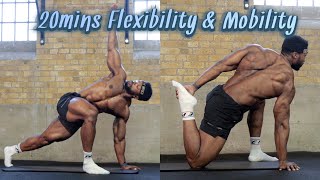 20mins Full Body Flexibility amp Mobility Routine  FOLLOW ALONG [upl. by Nash730]