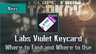 Labs Violet Keycard  Where to Find and Location to Use  Escape from Tarkov Key Guide EFT [upl. by Lleksah]