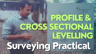 Profile and cross sectional Levelling  Surveying Practical [upl. by Hesta]