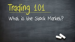 Trading 101 What is the Stock Market [upl. by Sibilla909]