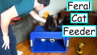 DIY Feral Cat Feeding Station  EASY  CHEAP [upl. by Sekyere]