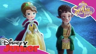 Sofia the First  Winter the Faun  Official Disney Junior Africa [upl. by Neiluj]