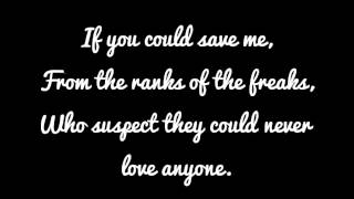 Aimee Mann  Save me lyrics [upl. by Nalani559]