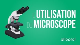 Lutilisation du microscope  Sciences  Alloprof [upl. by Eustazio29]