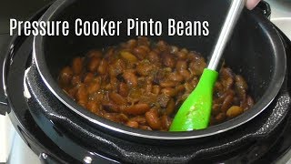 Pressure Cooker Pinto Beans  No Soak Quick Cook Beans  Cosori 2 Quart Electric Pressure Cooker [upl. by Neelia269]