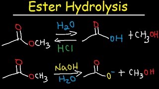 Ester Hydrolysis Reaction Mechanism  Acid Catalyzed amp Base Promoted Organic Chemistry [upl. by Ardnoid513]