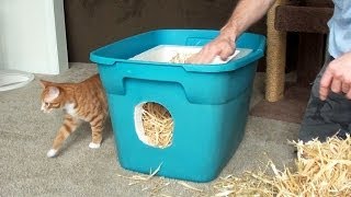 How to Make a Feral Cat Shelter [upl. by Ainex]