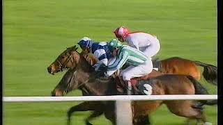 1994 Bonusprint Stayers Hurdle Balasani [upl. by Eeuqram]