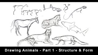 Drawing Animals for Beginners  Part 1  Structure amp Form [upl. by Nad]