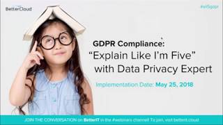 GDPR Compliance “Explain Like I’m Five” with Data Privacy Expert [upl. by Leahcimal211]