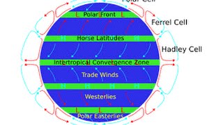 Trade Winds easily explained [upl. by Nylirem463]