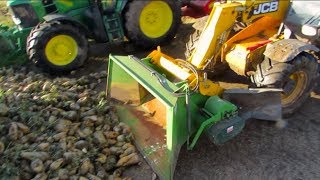 Feeding The Cows Sugar Beet [upl. by Florio]