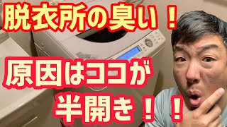 脱衣所がカビ臭い！洗濯機周辺が下水臭い！原因はココだった！【臭いの原因】【排水溝】【洗濯機】【洗濯パン】全て綺麗にします！！ [upl. by Sancho]