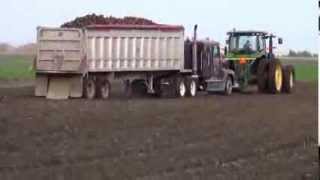 Sugar Beet harvest in Minnesota 2013 [upl. by Grizelda979]