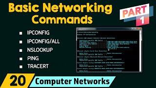 Basic Networking Commands Part 1 [upl. by Haase]