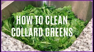 HOW TO CLEAN COLLARD GREENS  SIMPLE METHOD The Love UN [upl. by Sexton]