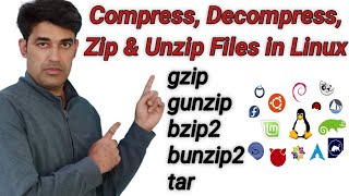 Compress Decompress Zip amp Unzip files in Linux  gzip gunzip bzip2 bunzip2 amp tar Commands [upl. by Kcirneh]