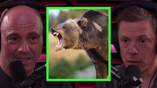 Steve Rinella Details After Effects of Grizzly Bear Encounter [upl. by Aleuname729]