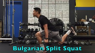 Jump Higher with Bulgarian Split Squats [upl. by Scheider649]