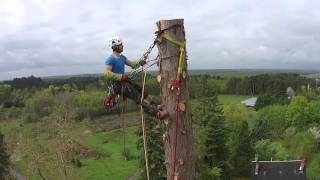 VERTICAL ÉLAGAGE ABATTAGE amp DÉMONTAGE D’UN SÉQUOIA GÉANT [upl. by Notyrb]