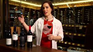 Pinot Noir Merlot Cabernet Sauvignon Shiraz Syrah  Red Wine Guide [upl. by Holli]